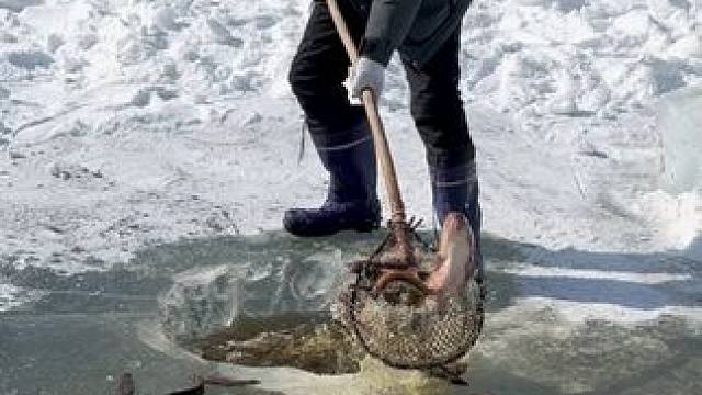 #户外捕鱼 #好多鱼