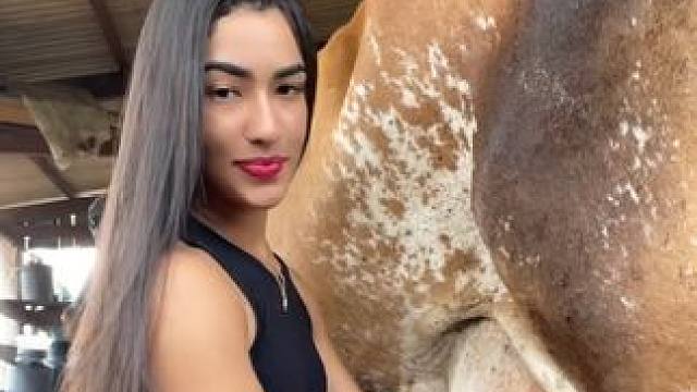 养一头奶牛实现牛奶自由 #国外视频分享 #奶牛养殖 #挤牛奶