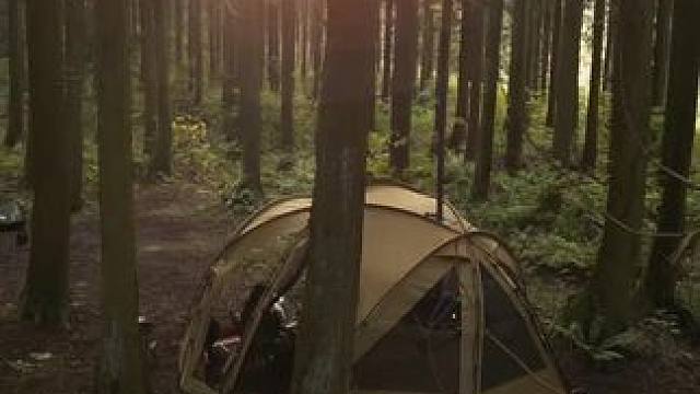 林中球帐 #露营报告