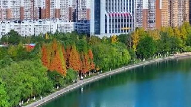 冬日暖阳下的南河湖畔#宜居城市 #这样的小城你喜欢吗 #水面倒影 #城市风景一角 #一帧中国·大美广