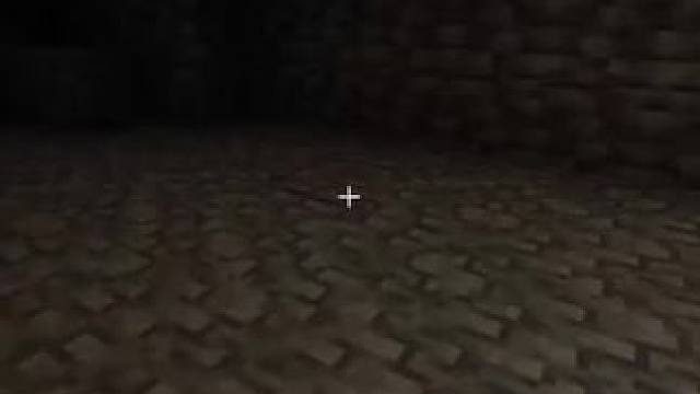 #我的世界 #Minecraft