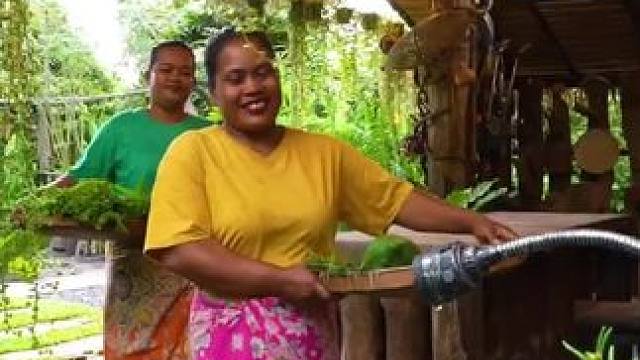 东南亚农场生活 #农村美食记录生活 #我的乡村生活 #地方美食 #山居生活 #山里生活