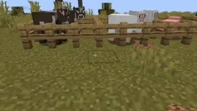 #我的世界 #Minecraft