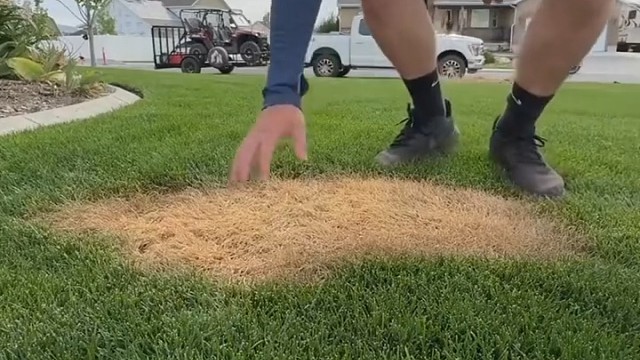 草坪养护超解压