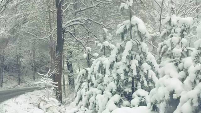 请南方的小伙伴看雪❄️☃️