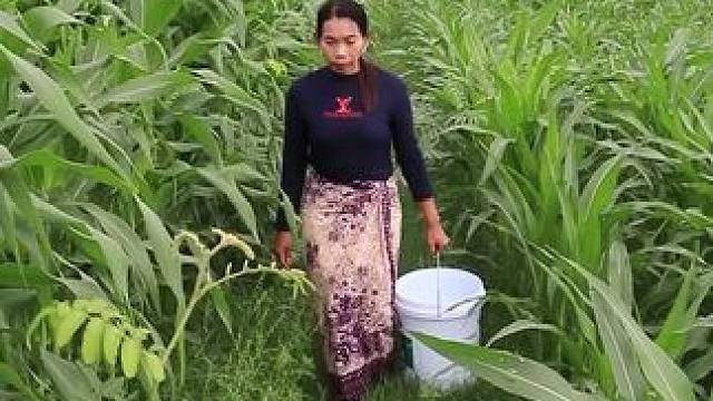 东南亚乡村美食 #农村美食#农村美食记录生活 #乡村美食