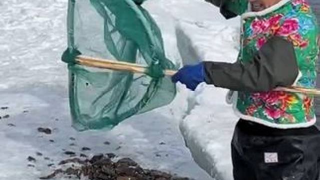 #户外捕鱼 #好多鱼