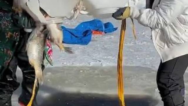 #户外捕鱼 #好多鱼