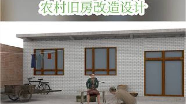 农村旧房改造 #旧房改造 #改造小院 #空间设计