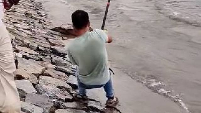 猜猜这条大鱼有没有五十斤？#钓鱼 #大物 #路亚