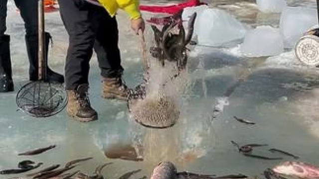 #户外捕鱼 #好多鱼