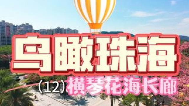 鸟瞰珠海（12）横琴花海长廊 #花海长廊一号驿站