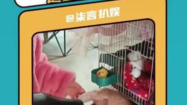 冻僵的小猫在死神来临之前遇到了心软的神#小猫 #感动瞬间 #暖心