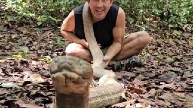 眼王要蜕皮了 #国外视频分享 #野生动物零距离 #专业操作请勿模仿