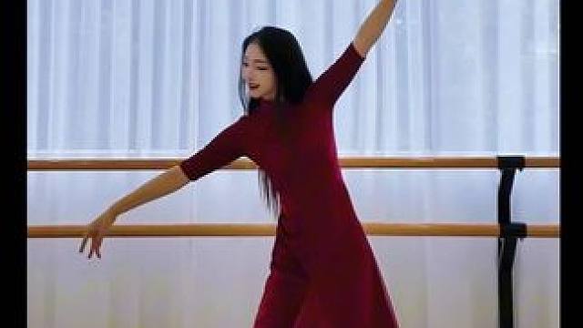 这一刻 #舞蹈的美瞬间具象化了，舞蹈是有灵魂的～#国舞争锋 #每一种舞蹈都很美