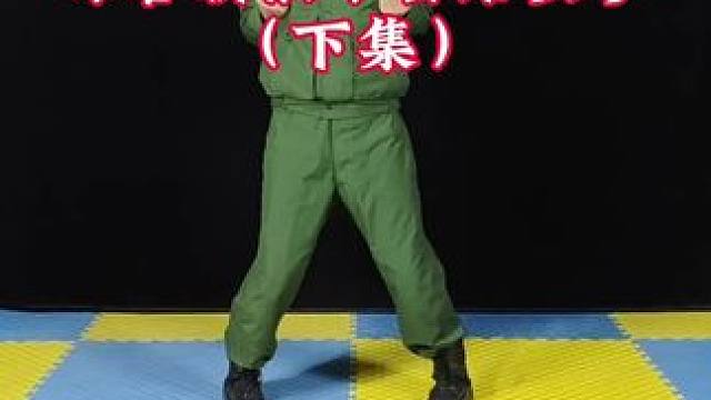 咏春拳新散手套路慢动作教学（下集）学会这套拳健身防身两全其美。#咏春 #咏春拳 #咏春新散手套路 #