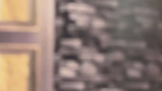 天啊，居然还有如此绝美的金丝玻璃系统门 #TINNO帝诺系统入户门 #别墅门 #系统门 #上海