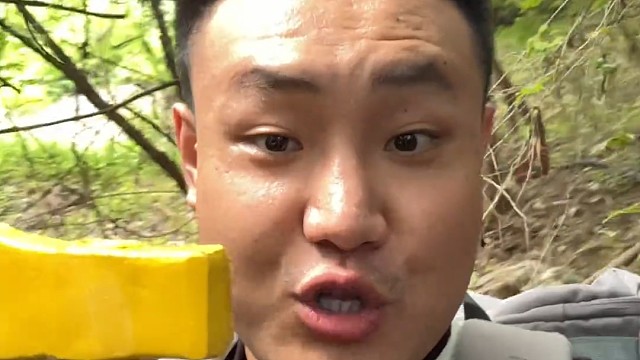 荒野求生热带雨林第一天