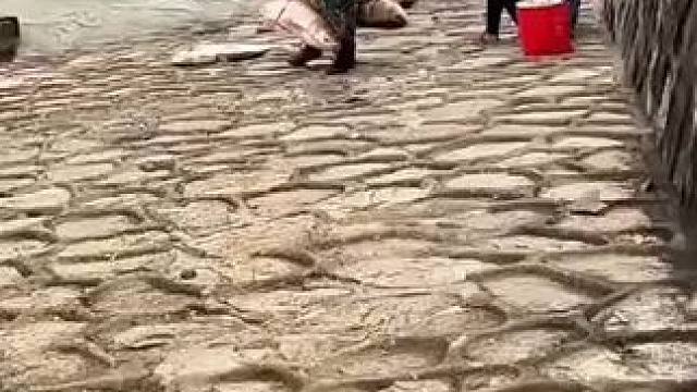 背大鱼比背媳妇还开心，猜猜这大鱼有多重？#钓鱼 #撒网 #农村生活 #搞笑