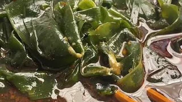 1-2点直播❤️#哪些美食可以拯救没有食欲的日子 #吃不下饭没胃口吃点什么 #谁懂这个视频对吃货的杀