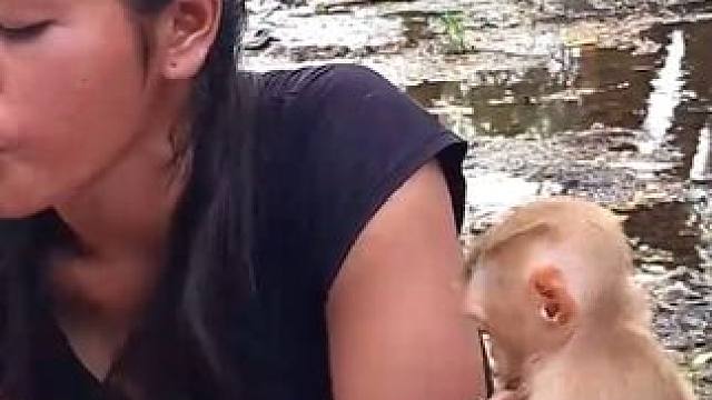 在河中捉红鱼 #体验原生态美食的乐趣 #原生态乡村生活 #我的乡村生活 #生活的烟火气息 #原生态原