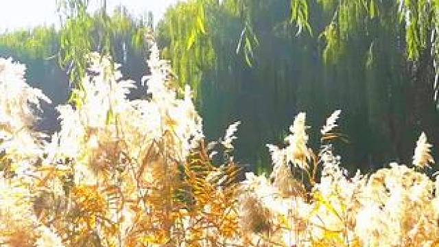 #寻找阳光的味道 ！