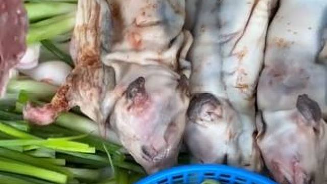 泰国特色美食 #泰国美食#泰国特色美食#泰国菜#泰式美食 #奇特美食大搜罗