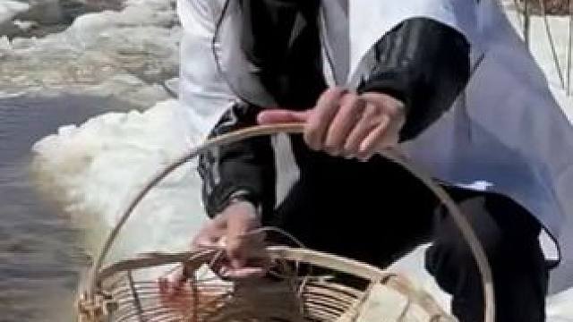 #户外捕鱼 #好多鱼