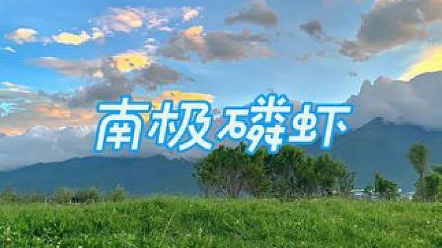 这是真实发生在大海上的离奇一幕，渔民捕鱼返航的过程中居然还有意外收获#南极磷虾 #磷虾干