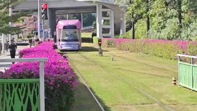 再发一遍#广州有轨电车1号线 #鸣潮西湖联动 #拍摄