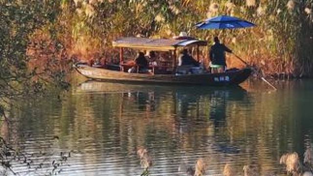 西溪湿地芦苇在微风吹拂下，片片芦花随风起伏花絮纷飞，宛如飘雪一般，将这个季节的西溪氛围感拉满。伴随着