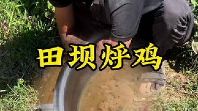 田坝烀鸡