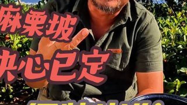 沙和尚去麻栗坡烈士陵园决心已定，很快出发#户外露营 #床车生活