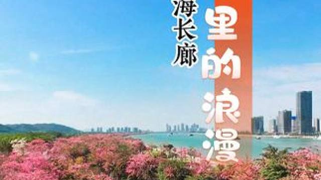 横琴花海长廊——冬日里的浪漫 #横琴花海长廊