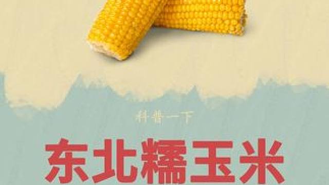 没想到一个玉米还要这样大费周章#玉米 #东北糯玉米 #粘糯玉米 #制作过程