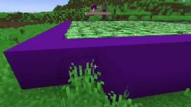 #我的世界 #Minecraft