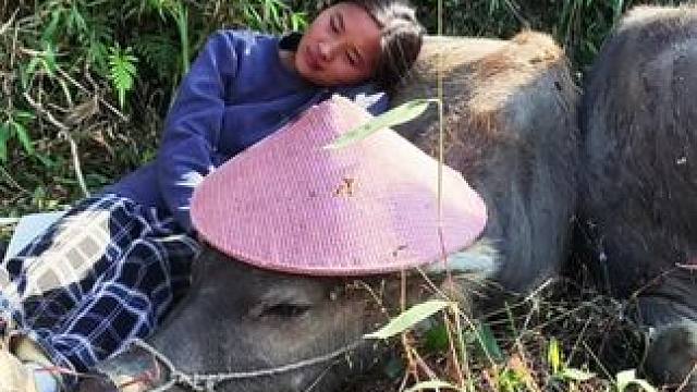 晒太阳啦#记录我的乡村生活 #田园生活 #放牛的生活 #惬意的农村生活