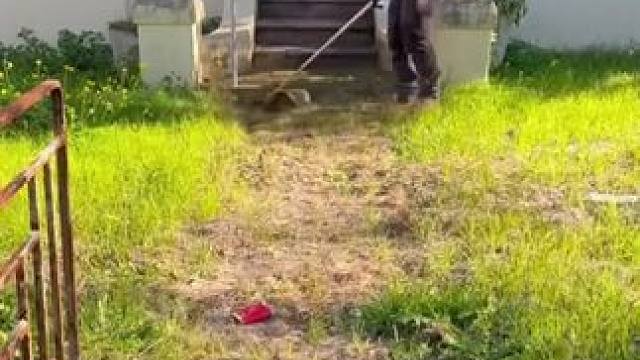 庭院前后的杂草清理工作效率。 #庭院清理 #男人减速带 #强迫症看了很享受 #解压视频 #辛勤劳动者