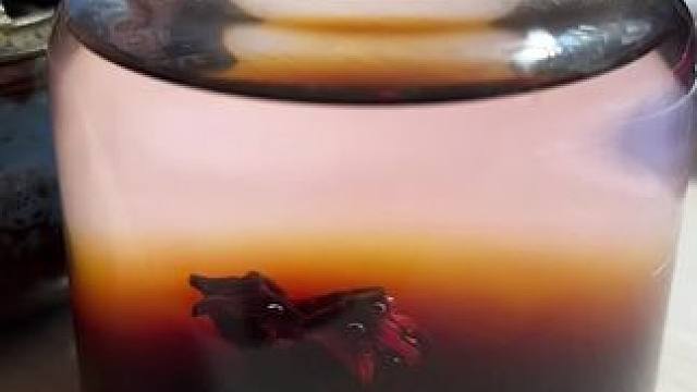 我真是人才，看我泡的啥，还怪好看的……#喝出好气色 #养生