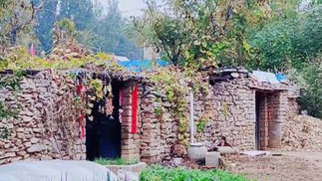 #农村生活 #老家在山区 #泰安市肥城之行#走进岈山村（4）鸡鸣犬吠闹村声，岭巷坡街任我行。朋友们一