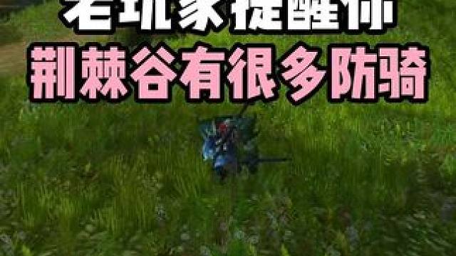 防骑跑的并不慢 一般猎人打不过  #魔兽世界  #巫妖王之怒 