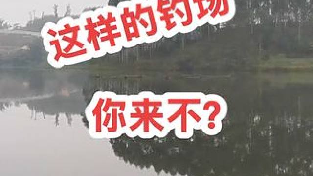 野钓，这样的钓场你来不？ #钓鱼的乐趣只有钓鱼人懂 #钓鱼日记 #冬天钓
