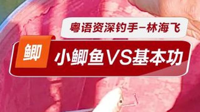 钓小鲫鱼的好地方 喜欢钓小鲫鱼的兄弟来江高无礼河，视频定位钓场前面的小河