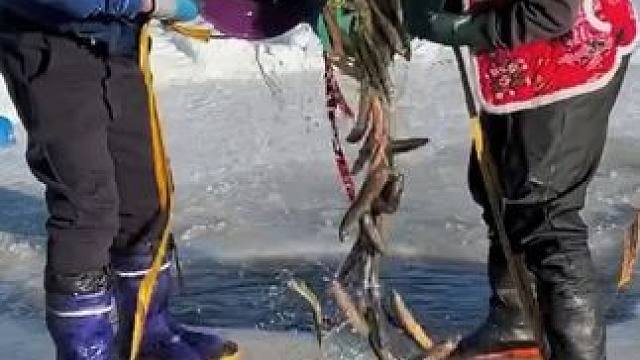 #户外捕鱼 #好多鱼