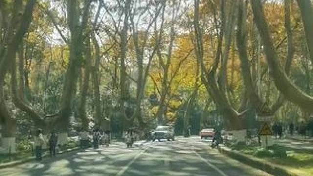 一座金陵城，半部民国史