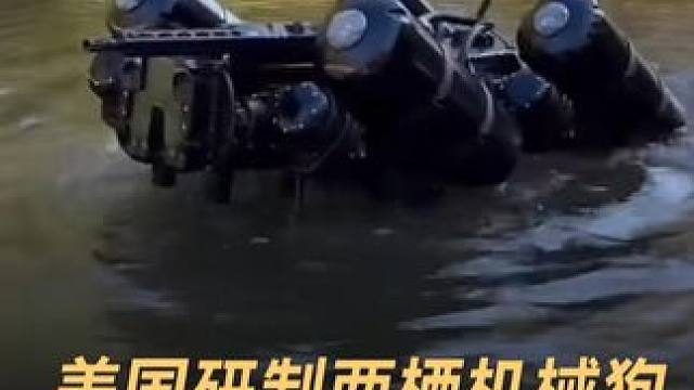 美国研制两栖机械狗，可快速下潜上浮#机器人 #机器狗 #军事科技