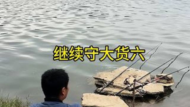 金翠湖的鱼越来越难钓。#真实户外 #记录每天生活 #爱生活爱钓鱼 #原创视频