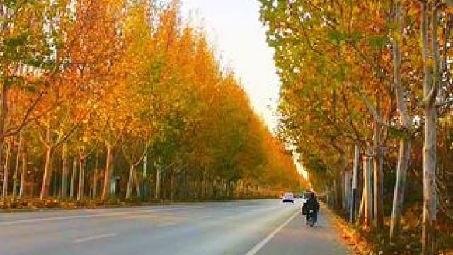 #一路风景如画 #美丽乡村任我行