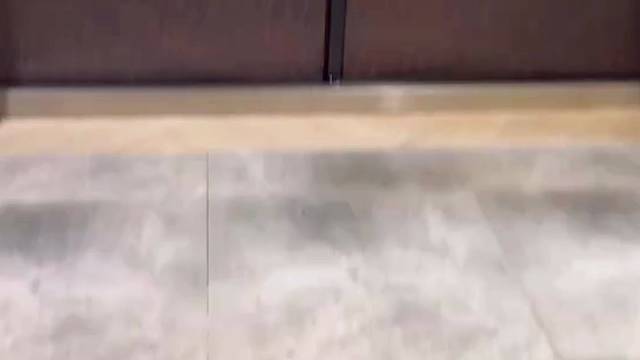 铸就中式工艺美学的不朽经典#中宝天一铜门#铜门#苏州#别墅门#偏轴门