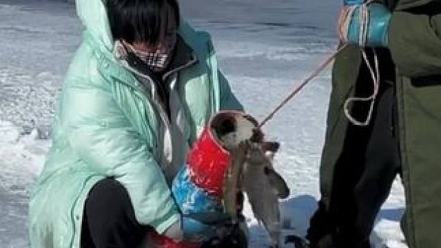 #户外捕鱼 #好多鱼